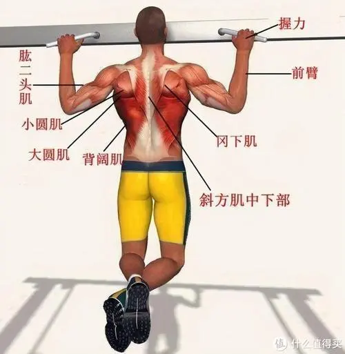 毕业设计原画游戏